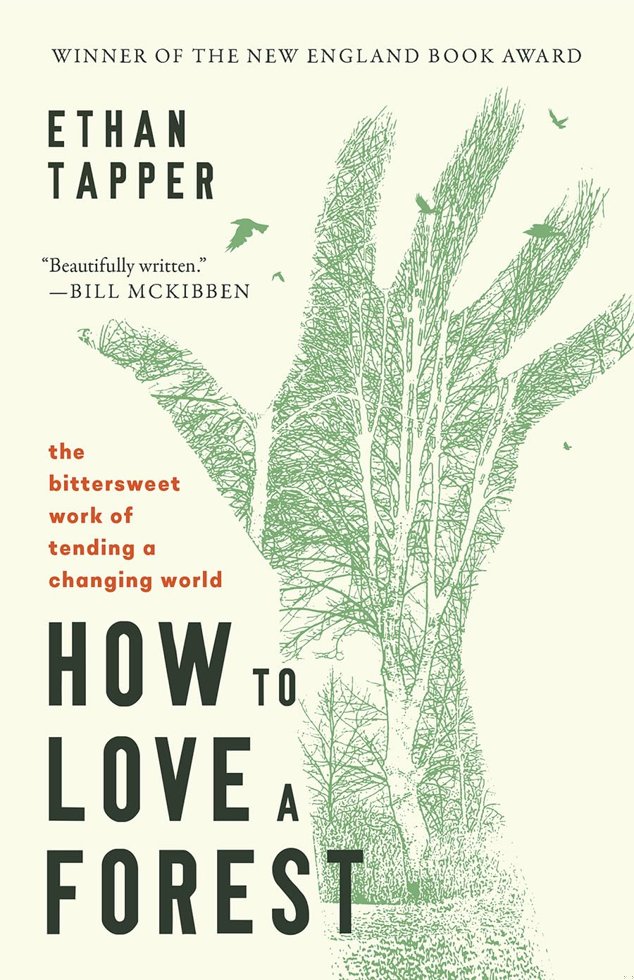 How to Love a Forest: The Bittersweet Work of Tending a Changing World book cover