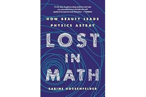 Lost in Math: How Beauty Leads Physics Astray book cover