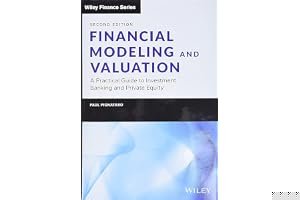 Financial Modeling and Valuation: A Practical Guide to Investment Banking and Private Equity (Wiley Finance) book cover