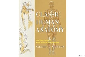 Classic Human Anatomy: The Artist's Guide to Form, Function, and Movement book cover