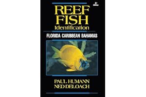 Reef Fish Identification: Florida Caribbean Bahamas book cover