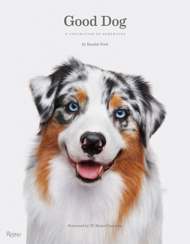 Good Dog: A Collection of Portraits book cover