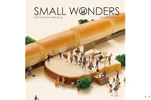Small Wonders - Life Portrait in Miniature book cover
