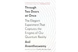 Through Two Doors at Once: The Elegant Experiment That Captures the Enigma of Our Quantum Reality book cover