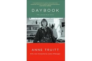 Daybook: The Journal of an Artist book cover