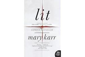 Lit book cover