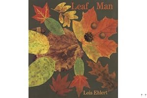 Leaf Man book cover