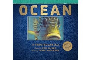 Ocean: A Photicular Book book cover