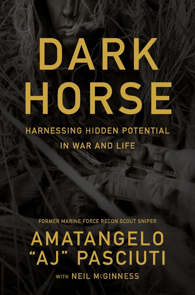 Darkhorse: Harnessing Hidden Potential in War and Life book cover