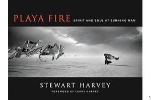 Playa Fire: Spirit and Soul at Burning Man book cover