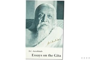 Essays on the Gita book cover