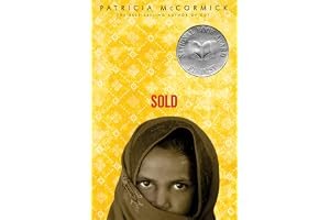 Sold book cover