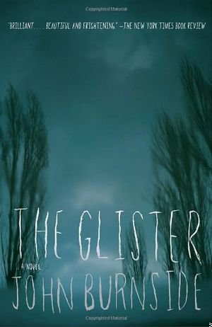 The Glister book cover