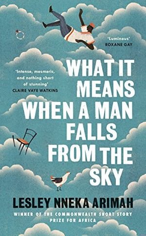 What It Means When A Man Falls From The Sky book cover