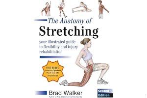 The Anatomy of Stretching book cover