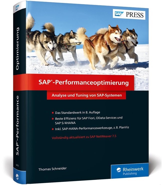 SAP-Performanceoptimierung: Performance von SAP steigern, inkl. SAP Fiori, SAP HANA und SAP S/4HANA book cover