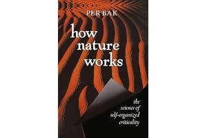 How Nature Works: The Science of Self-Organized Criticality book cover