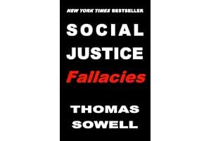 Social Justice Fallacies book cover