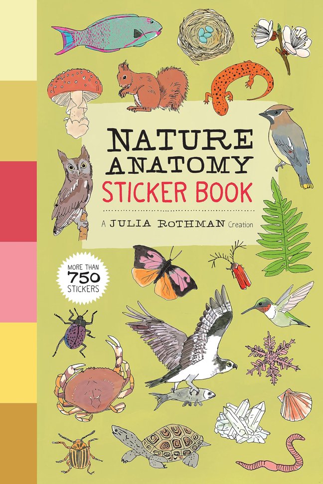 Nature Anatomy Sticker Book: A Julia Rothman Creation; More than 750 Stickers book cover
