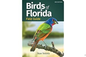 Birds of Florida Field Guide (Bird Identification Guides) book cover