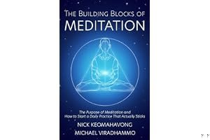The Building Blocks of Meditation: The Purpose of Meditation and How to Start a Daily Practice That Actually Sticks book cover