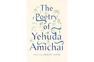 The Poetry of Yehuda Amichai book cover