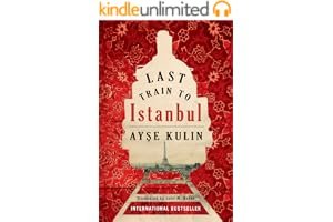 Last Train to Istanbul book cover