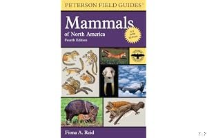 Peterson Field Guide to Mammals of North America book cover
