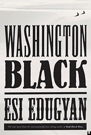 Washington Black book cover