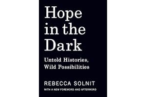 Hope in the Dark: Untold Histories, Wild Possibilities book cover