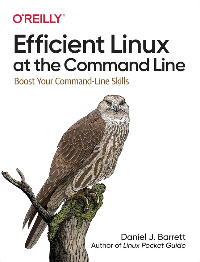 Efficient Linux at the Command Line: Boost Your Command-Line Skills book cover