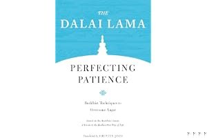 Perfecting Patience: Buddhist Techniques to Overcome Anger book cover