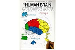 The Human Brain Coloring Book book cover