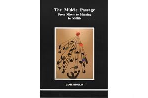 The Middle Passage: From Misery to Meaning in Midlife (Studies in Jungian Psychology by Jungian Analysts, 59) book cover