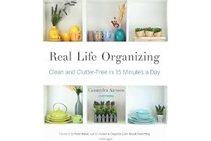 Real Life Organizing: Clean and Clutter-Free in 15 Minutes a Day book cover