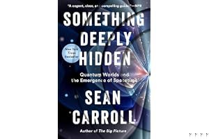 Something Deeply Hidden: Quantum Worlds and the Emergence of Spacetime book cover