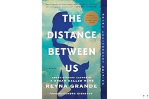 The Distance Between Us book cover