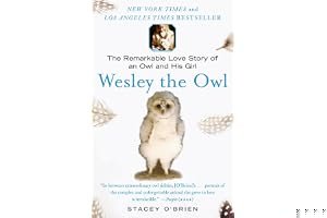 Wesley the Owl: The Remarkable Love Story of an Owl and His Girl book cover