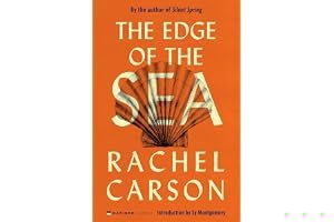 On the Edge of the Dark Sea of Darkness (The Wingfeather Saga, #1) book cover