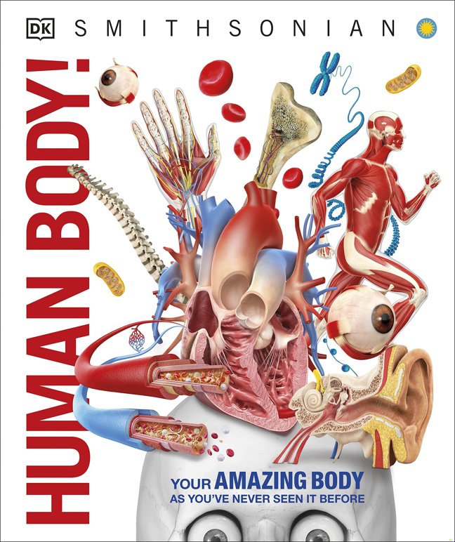 Knowledge Encyclopedia Human Body!: Human Anatomy as You've Never Seen It Before book cover