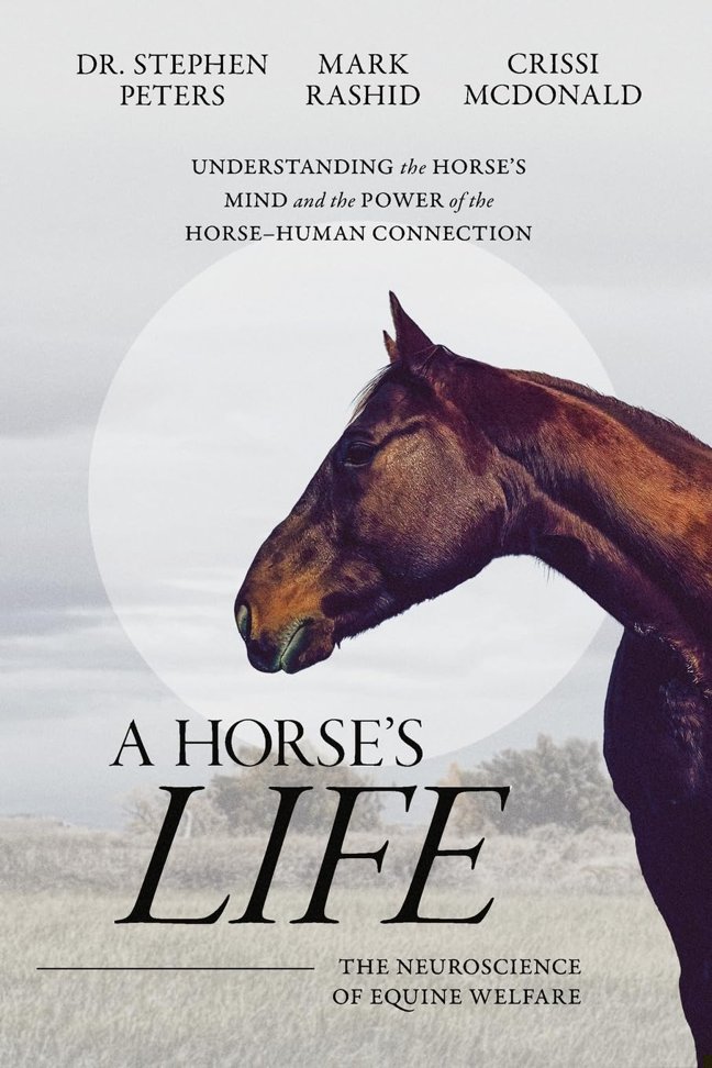 A Horse's Life: The Neuroscience of Equine Welfare book cover
