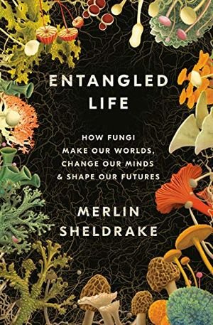 Entangled Life: How Fungi Make Our Worlds, Change Our Minds & Shape Our Futures book cover