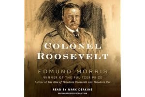 Colonel Roosevelt book cover