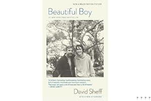 Beautiful Boy: A Father's Journey Through His Son's Addiction book cover