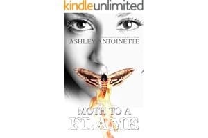 Moth to a Flame book cover