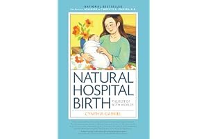 Natural Hospital Birth: The Best of Both Worlds book cover