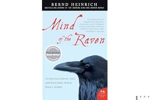 Mind of the Raven: Investigations and Adventures with Wolf-Birds book cover