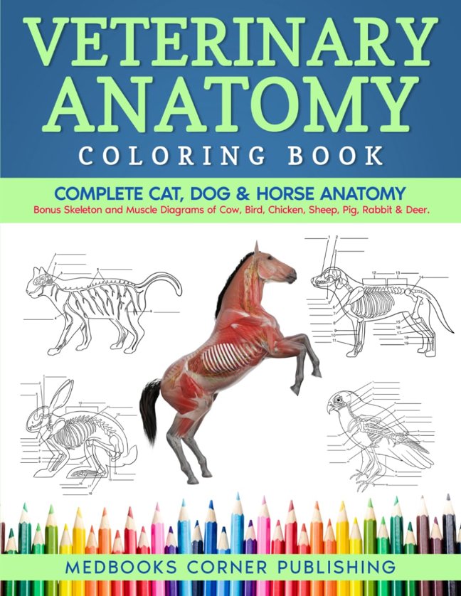 Veterinary Anatomy Coloring Book: Complete Cat, Dog & Horse Anatomy and Physiology with Detailed Skeleton & Muscle Illustrations of Cow, Bird, Deer & More + Test Yourself Exercises book cover