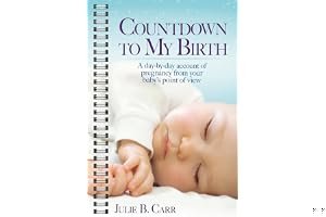 Countdown To My Birth: A Day-by-Day Account of Pregnancy from Your Baby's Point of View book cover