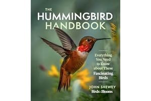 The Hummingbird Handbook: Everything You Need to Know about These Fascinating Birds book cover